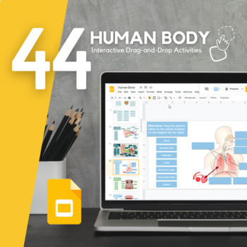Preview of Human Body & Organ Systems Drag-and-Drop Activities in Slides - 44 assignments!