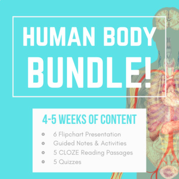Preview of Human Body Organ Systems - Flipchart, Guided Notes/Activities, Quizzes, & CLOZEs