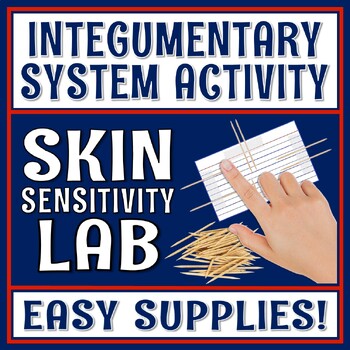 Preview of Human Body Organ Systems Integumentary System Activity Skin Sensitivity Lab