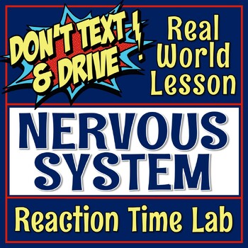 Preview of Human Body Organ Systems Nervous System Activity Reaction Time Lab PDF GOOGLE