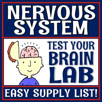 Preview of Human Body Organ Systems Nervous System Activity for Brain MS-LS1-3 MS-LS1-8