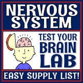 Human Body Organ Systems Nervous System Activity for Brain