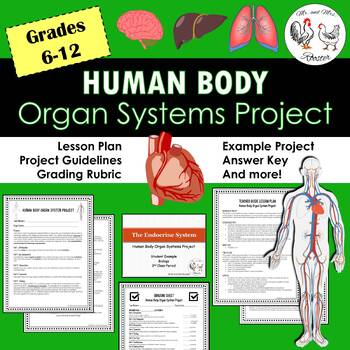 Preview of Human Body Organ Systems Project | Student Research & Presentation Project