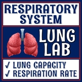 Human Body Organ Systems Respiratory System Activity Lung 