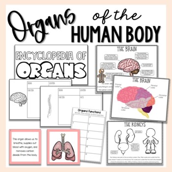 Preview of Organs of the Human Body