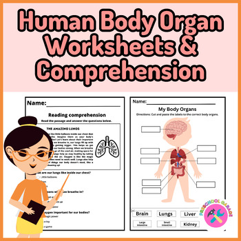Preview of Human Body Organ Worksheets