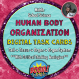 Levels of Organization in the Body Analogies Digital Task 