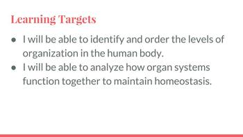 Preview of Human Body Organization Flip Book with Google Slides