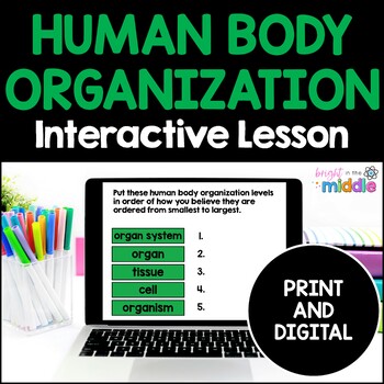 Preview of Human Body Organization Levels Interactive Lesson