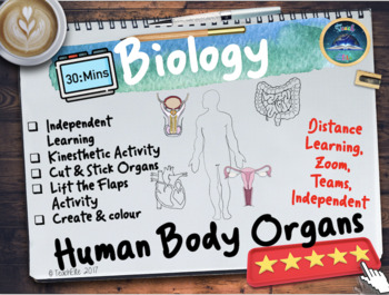 Preview of Human Body Organs Activity