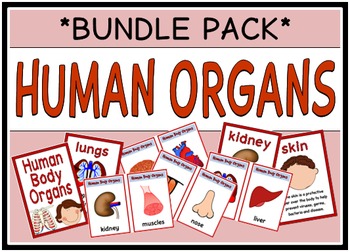 Preview of Human Organs (BUNDLE PACK)