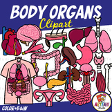 Human Body Organs Clipart [ARTeam Studio]