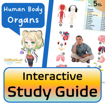 Preview of Human Body Organs - Florida Science Interactive Study Guide
