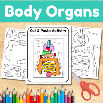 Preview of Human Body Organs Interactive Cut and Paste Worksheets