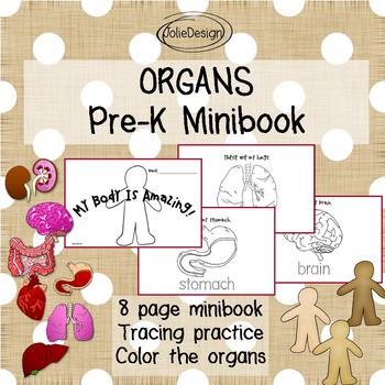Preview of Human Body Organs Minibook - PRE-K - K4 Science