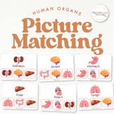 Human Body Organs Picture Matching | Anatomy for Toddlers,