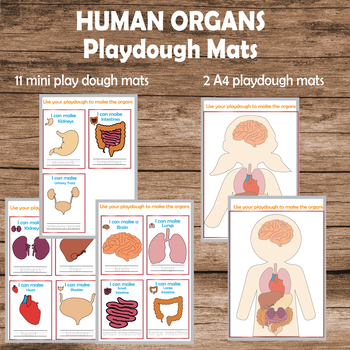 Printable Anatomy Play-Dough Mats