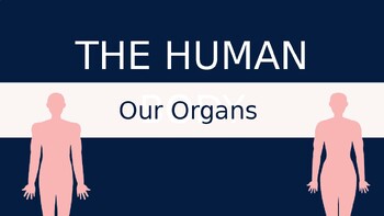 Preview of Human Body Organs Presentation