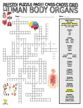 Human Body Organs Puzzle Page (Wordsearch and Criss Cross) TpT