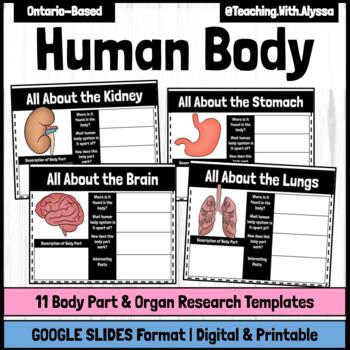 Preview of Human Body Organs Research Activity | Human Body Systems Google Slides