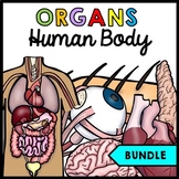 Human Body - Organs - Special Education - Science - Readin