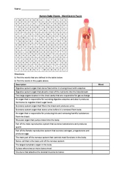 Preview of Human Body Organs - Word Search Puzzle Worksheet Activity (Printable)