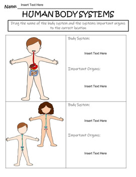 Human Body Organs and Systems Digital Graphic Organizers (Google Classroom)