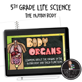 Human Body Organs and Their Functions Lesson