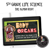 Human Body Organs and Their Functions Upper Elementary Lesson