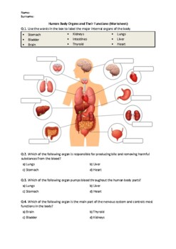 Preview of Human Body Organs and Their Functions - Worksheet | Easel Activity & PDF