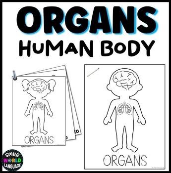 Human Body Organs worksheets- My body - Heart, lungs, bladder, stomach