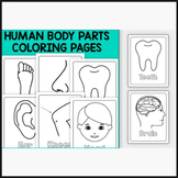Human Body Outline Coloring Page for 5th | Human Body Worksheets