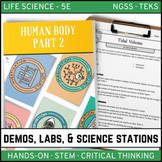 Human Body Part 2 - Demos, Labs, and Science Stations