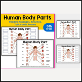 Human Body Parts Activities, Task Cards | Human Body Worksheets