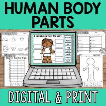 Preview of Human Body Parts Digital & Print