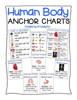 Preview of Human Body Parts Anchor Charts