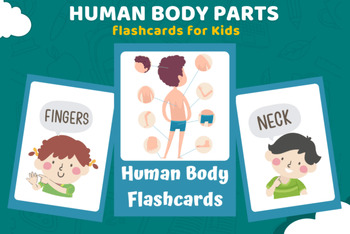 Preview of Human Body Parts Flashcards