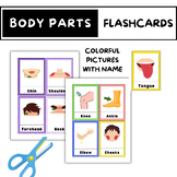 Human Body Parts Flashcards Parts of body Posters Printable