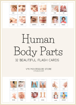 Preview of Human Body Parts Flashcards for PreK/K