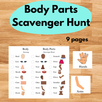 Preview of Human Body Parts Scavenger Hunt, Human Anatomy Learning Center Matching Game