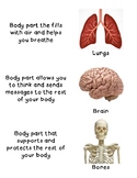 Human Body Parts and Function matching