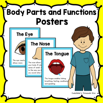 Preview of Human Body Parts and Functions Posters Set 2 | Human Body Parts Posters
