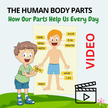 Preview of Human Body Parts for Kids: How Our Parts Help Us Every Day