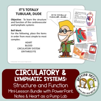 Preview of Circulatory & Lymphatic Systems - Human Body PowerPoint, Notes and Lab
