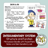 Integumentary System - Human Body PowerPoint, Notes and Lab