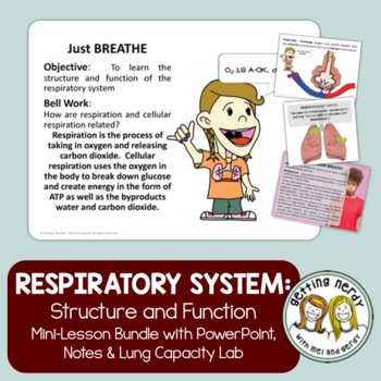 Preview of Respiratory System - PowerPoint, Notes and Lab