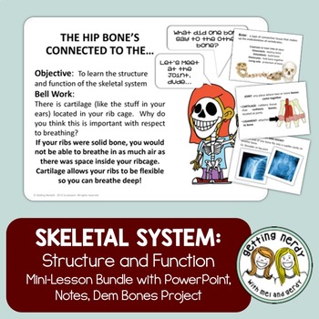 Preview of Skeletal System - Human Body PowerPoint, Notes and Project
