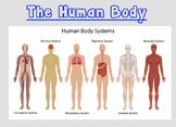 Human Body Powerpoint