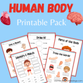 Human Body Printable Pack