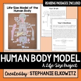 Human Body Model Life Size Project